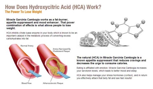 Hydroxycitric.HCA