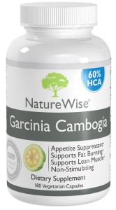 Top Garcinia Cambogia Products NatureWise Garcinia 